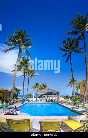 A tropical getaway with an inviting pool on Fort Lauderdale Beach. Stock Photo