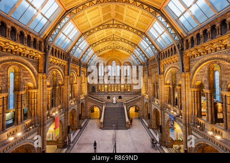 Central hall of the Natural History Museum in London England UK Stock Photo