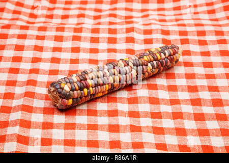 Corn on tablecloth red and white checkered wavy texture background Stock Photo