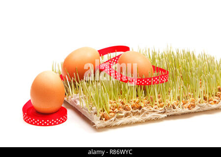 Eggs in the green sprouted wheat Stock Photo