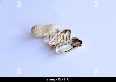 THE BAD SEED Stock Photo - Alamy