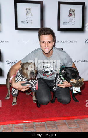 LOS ANGELES, CA, USA - NOVEMBER 11: Hartley Sawyer at the 8th Annual Stand Up For Pits held at the Hollywood Improv Comedy Club on November 11, 2018 in Los Angeles, California, United States. (Photo by David Acosta/Image Press Agency) Stock Photo