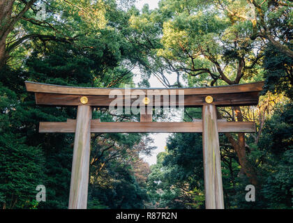 Meiji Jingu shrine Torii gate in Tokyo, Japan Stock Photo
