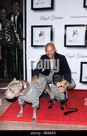 LOS ANGELES, CA, USA - NOVEMBER 11: Chris Williams at the 8th Annual Stand Up For Pits held at the Hollywood Improv Comedy Club on November 11, 2018 in Los Angeles, California, United States. (Photo by David Acosta/Image Press Agency) Stock Photo