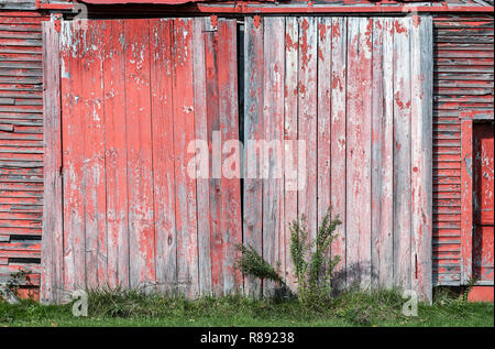 Old barn door. Stock Photo