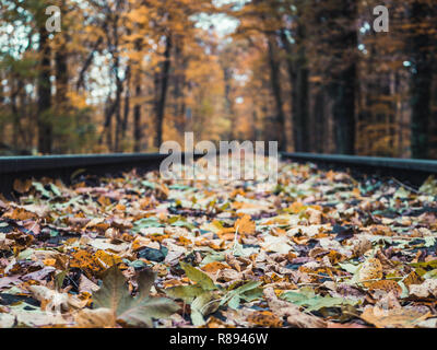 Low angle shot of railroads going through the woods in autumn, with colorful leaves flying around Stock Photo