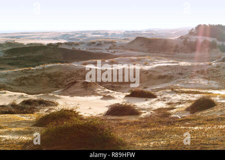 sand dune at dawn, haze on the horizon of sandy hills Stock Photo