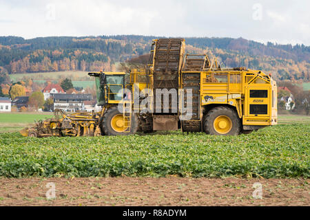 A Sugarbeet harvester, near Oberweser, Upper Weser Valley,  Weser Uplands, Weserbergland, Hesse, Germany Stock Photo