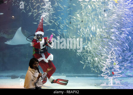 Seoul, South Korea. 14th Dec, 2018. A diver wearing Santa Claus costume swims in the tank at COEX Aquarium in Seoul, South Korea. Credit: Ryu Seung-Il/ZUMA Wire/Alamy Live News Stock Photo