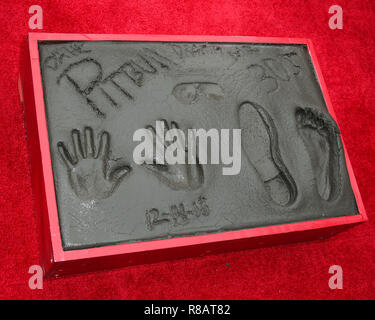 Hollywood, California, USA. 14th Dec 2018. Atmosphere at the Pitbull Hand And Footprint Ceremony held at the TCL Chinese Theatre IMAX on December 14, 2018 in Hollywood, Los Angeles, California, United States. (Photo by Xavier Collin/Image Press Agency) Credit: Image Press Agency/Alamy Live News Stock Photo