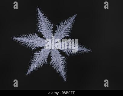 White snowflake on black background. This illustration based on macro photo of real snow crystal: large stellar dendrite with fine hexagonal symmetry, Stock Photo