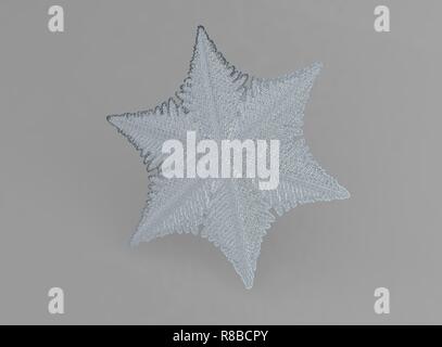 White snowflake on black background. This illustration based on macro photo of real snow crystal: large stellar dendrite with fine hexagonal symmetry, Stock Photo