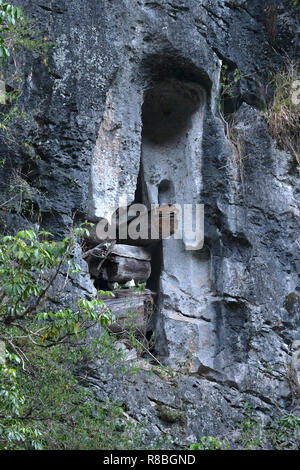 View of the so called Hanging Coffins of Echo Valley which are pine caskets, some hundreds of years old, hanging high from the bluffs of Echo Valley in Sagada. The Igorots practice unique funerary customs the dead are buried in coffins tied or nailed to cliffs. Sagada Mountain province Cordillera region Luzon island Philippines Stock Photo