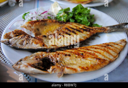 Plate of sea bream fish in Turkey. Stock Photo