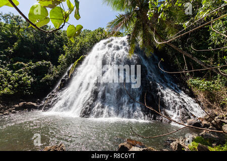 Kepirohi waterfall in the jungle with palm trees around, near Nan Madol, Pohnpei Island, Federated States of Micronesia, Oceania, South Pacific Ocean. Stock Photo