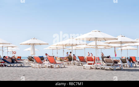 Patio Umbrellas at Saadiyat Public Beach Abu Dhabi, UAE Stock Photo