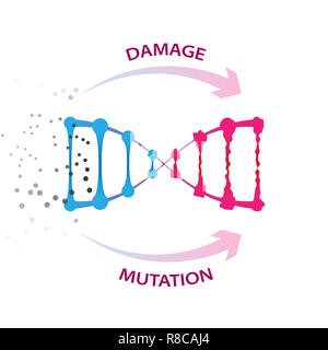 External factors that cause dna damage and mutations. Medical illustration on white background Stock Photo