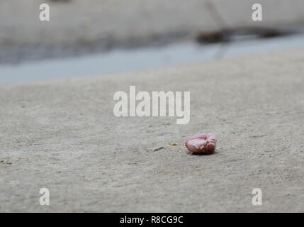 gum scrap split by someone bad behavior on cement ground Stock Photo