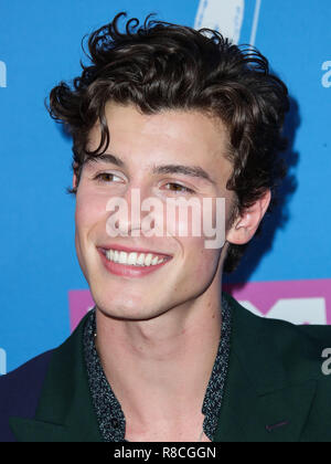 MANHATTAN, NEW YORK CITY, NY, USA - AUGUST 20: Shawn Mendes at the 2018 MTV Video Music Awards held at the Radio City Music Hall on August 20, 2018 in Manhattan, New York City, New York, United States. (Photo by Xavier Collin/Image Press Agency) Stock Photo