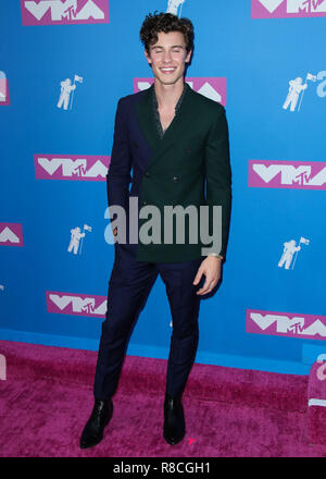 MANHATTAN, NEW YORK CITY, NY, USA - AUGUST 20: Shawn Mendes at the 2018 MTV Video Music Awards held at the Radio City Music Hall on August 20, 2018 in Manhattan, New York City, New York, United States. (Photo by Xavier Collin/Image Press Agency) Stock Photo