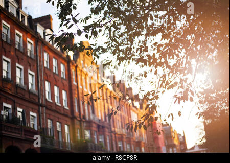 (selective focus) Beautiful red apartments illuminated at sunset in the Chelsea district in London, United Kingdom. Stock Photo