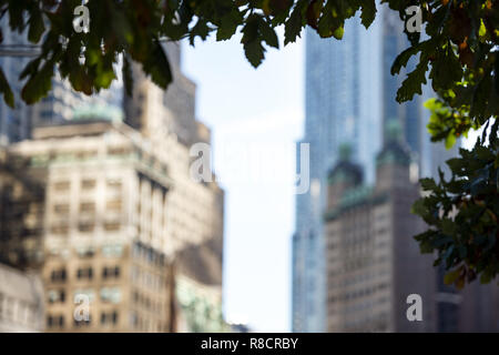 (selective focus) Blurred huge buildings and beautiful skyscrapers in Manhattan, New York City, USA. Stock Photo