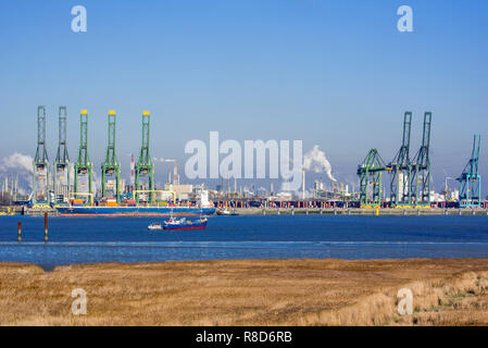 Harbor cranes and container ship docked in the Antwerp harbour / port, Flanders, Belgium Stock Photo