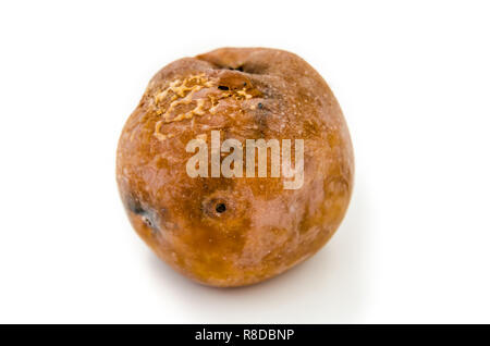 rotten apple isolated on a white background Stock Photo