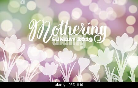 Mothering Sunday 2019 typography on bokeh background with crocus flowers vector illustration. Hand-lettering in purple and green colors. For banner, f Stock Vector