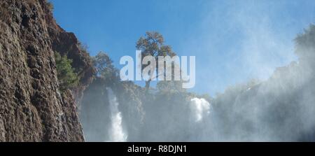 A single tree grows fresh and green against the blue sky, on a ridge above two foaming waterfalls plunging down a cliff Stock Photo