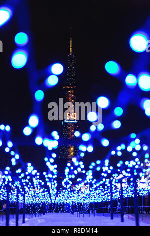 Christmas lights in Odori Park during the winter Snow Festival. Sapporo, Hokkaido Japan. Stock Photo