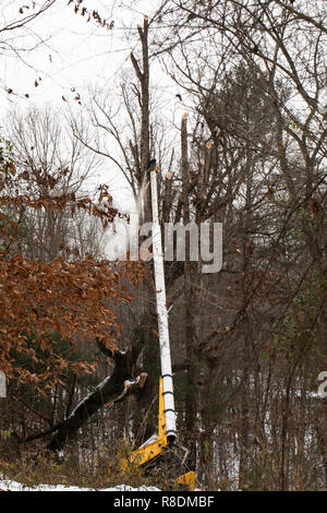 Duke Energy maintenance of way (MOW) crew trims fallen tree along transmission line after Winter Storm Diego. Stock Photo