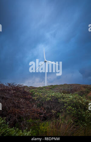 Albany Wind Farm, Western Australia Stock Photo