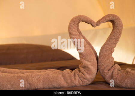 Greeting in hotel room towels in swan shapes, Towel art, maid service. Stock Photo