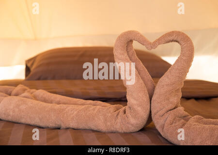 Greeting in hotel room towels in swan shapes, Towel art, maid service. Stock Photo