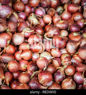 Premium Photo  Thai spicy herb shallot bunch of shallots with root on  wooden table and space on right