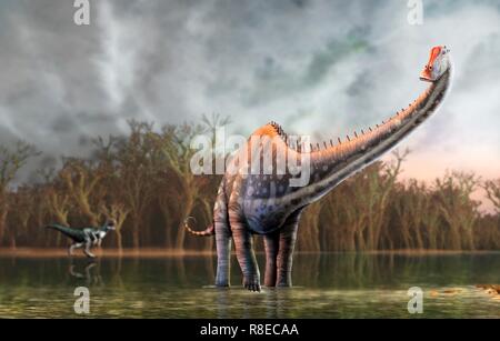 Diplodocus dinosaur, illustration. Diplodocus, discovered in 1877, is one of the longest known dinosaurs, reaching a length of 35 metres. Most of that, however, was tail and neck, meaning that the animal only weighed 10 to 15 tonnes, much less than the bulkier sauropods of similar length, such as brachiosaurus. Diplodocus lived in the Jurassic period, around 155 to 148 million years ago, in what is now North America. A predatory dinosaur, allosaurus, is seen in the background. Stock Photo