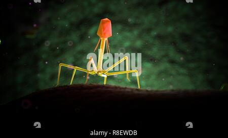 Illustration of bacteriophage. Stock Photo
