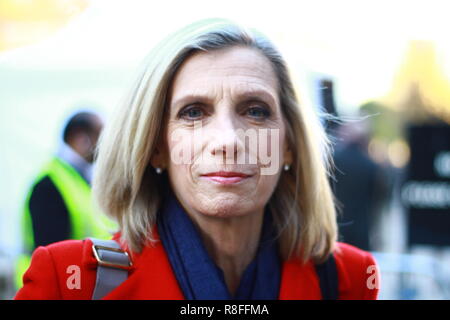 Carol Walker a British Journalist with vast experience on College Green, Westminster, London, UK. on 12th December 2018. Russell Moore portfolio page. Stock Photo