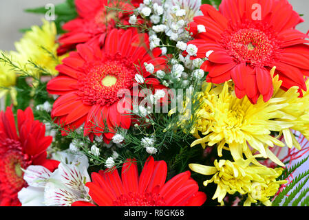 Bouquet of yellow chrysanthemums, red gerbera Stock Photo