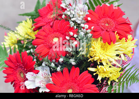 Bouquet of yellow chrysanthemums, red gerbera Stock Photo