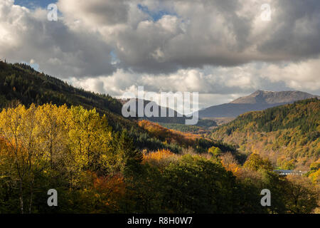 Gwydyr Forest in Snowdonia, North Wales, in autumn colours Stock Photo