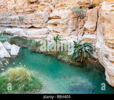 One natural pool in the canyon of the famous and touristic Wadi Shab, Tiwi, Sultanate of Oman, Middle East Stock Photo