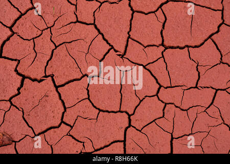 Cracked clay soil Texture, background, seamless pattern. Crack in the ground. Texture, background, seamless pattern. This is useful for designers. a c Stock Photo