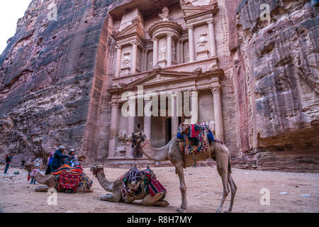 Kamele warten vor dem Schatzhaus des Pharao Khazne al-Firaun,  Petra, Jordanien, Asien |  camels waiting at the  Treasury  Al Khazneh,  Petra, Jordan, Stock Photo
