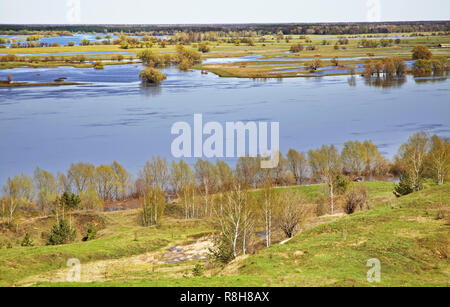 Oka river in Konstantinovo village. Ryazan oblast. Russia Stock Photo