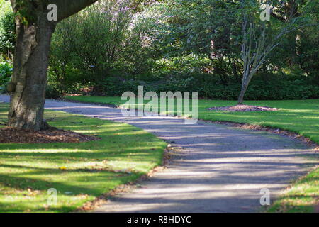 Path Curving through Cruickshank Botanic Garden on a Sunny Autumn Day. Aberdeen, Scotland, UK. Stock Photo