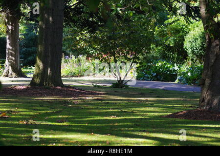 Path Curving through Cruickshank Botanic Garden on a Sunny Autumn Day. Aberdeen, Scotland, UK. Stock Photo