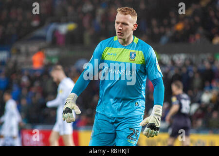 Swansea, Wales, UK. 15th December 2018. Sheffield Wednesday goalkeeper Cameron Dawson in action  EFL Skybet championship match, Swansea city v Sheffield Wednesday at the Liberty Stadium in Swansea, South Wales on Saturday 15th December 2018.  this image may only be used for Editorial purposes. Editorial use only, license required for commercial use. No use in betting, games or a single club/league/player publications. pic by Lewis Mitchell//Andrew Orchard sports photography/Alamy Live news Stock Photo