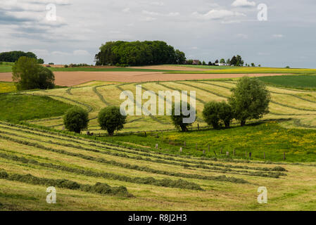 View over the hills at the Belgian countryside in the Pajottenland around Gooik Stock Photo